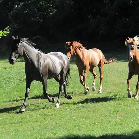 A La Ferme Du Bosquet *